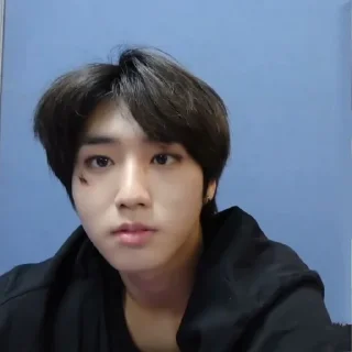 🐿️ emoji HAN JISUNG @forloonasticker Telegram sticker 11 of 61