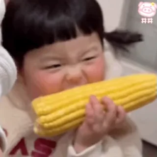 🌽 emoji 江九岁的小童真 Telegram sticker 7 of 47