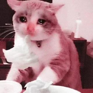 🐱 emoji @lust_cafe #pussy Telegram sticker 15 of 18