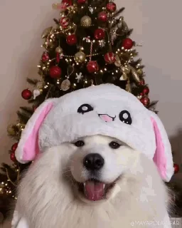 🐶 emoji 萨摩耶 @yaoyiyaoxiaokeai Telegram sticker 10 of 50