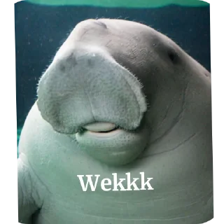 🖼 emoji Dugong Telegram sticker 7 of 22