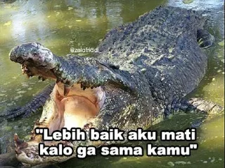 🐊 emoji Peliharaan nya @psychologyeol Telegram sticker 12 of 32