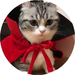 Sticker from все стикеры тут: @stickersde