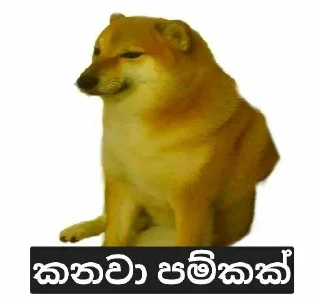 😅 emoji 🤪🤪 @TikTokslnk Telegram sticker 10 of 83