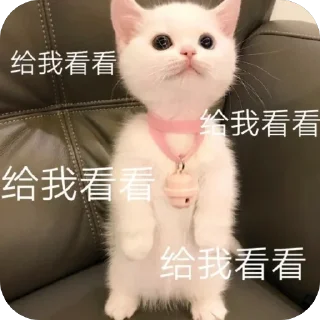 🫥 emoji 海豚有海 Telegram sticker 15 of 120