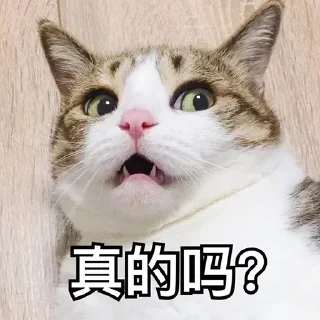 😳 emoji 你在教我做事？ @TG765 Telegram sticker 18 of 80