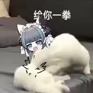 🐱 emoji 超级柴郡一@NyankoNyankoNyaaNyaa Telegram sticker 16 of 120