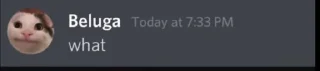 🤔 emoji Beluga Telegram sticker 10 of 18