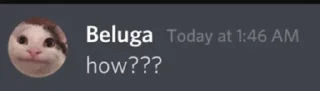 🙀 emoji Beluga Telegram sticker 3 of 18