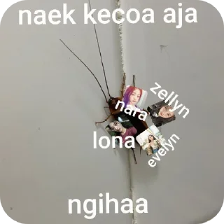 🐞 emoji fams harka eca Telegram sticker 10 of 73