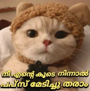 😋 emoji @ok_bie_bot Vol.2 Telegram sticker 19 of 90