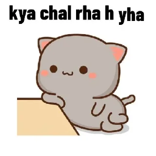 Sticker from @stickers_gifs_store cute chibi cat❤️✨