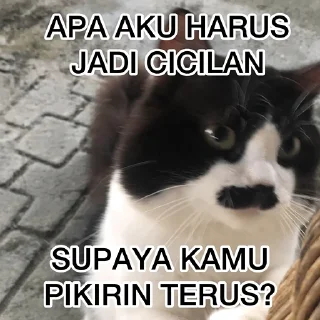 🤕 emoji agar hidup lebih berwarna Telegram sticker 14 of 33