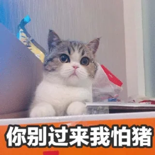 ❤️ emoji 广州会所集中部@zqdl12358 Telegram sticker 8 of 47