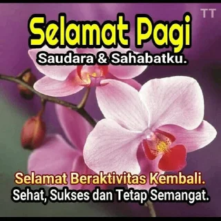 😊 emoji agar hidup lebih berwarna Telegram sticker 11 of 33