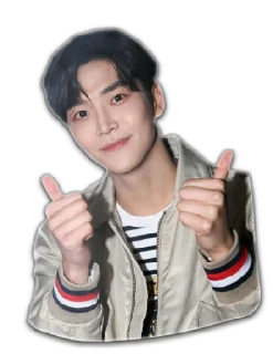 👍 emoji RoRo Telegram sticker 19 of 27