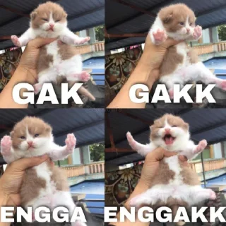 🙅‍♀️ emoji jie Telegram sticker 17 of 45