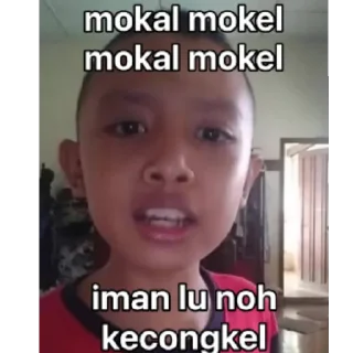Sticker from @stickermemeindonesia random aja