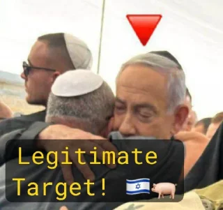 🇮🇱 emoji israel is a terrorist state Telegram sticker 14 of 89