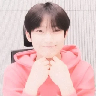 🎗 emoji KIM SUNOO Telegram sticker 9 of 24