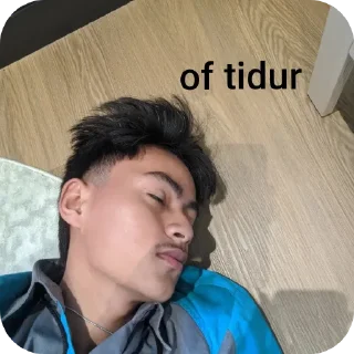 👍 emoji jepri nikol Telegram sticker 13 of 13
