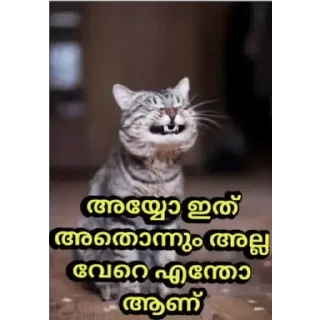 😂 emoji @Ok_bie_bot Vol.2 Telegram sticker 19 of 63