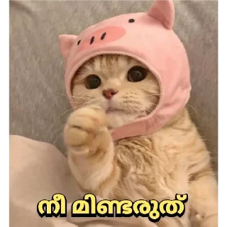 😕 emoji @Ok_bie_bot Vol.2 Telegram sticker 7 of 63