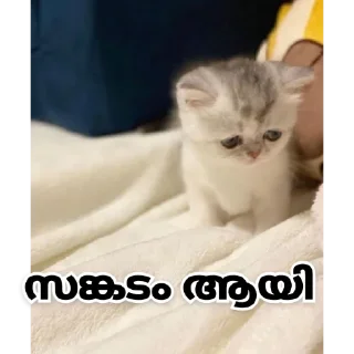 😔 emoji @Ok_bie_bot Vol.2 Telegram sticker 12 of 63