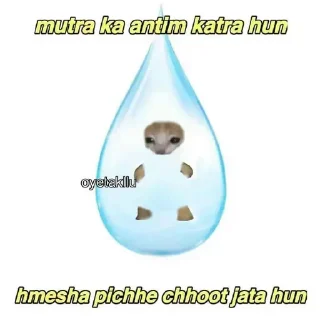 😸 emoji Mujhe Kya mai to || @Z_sukuna Telegram sticker 20 of 24