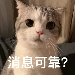 Sticker from 福利精选@videosharesex