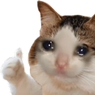 👍 emoji no brain pack Telegram sticker 24 of 42