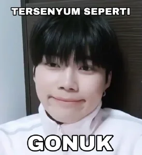 ☺️ emoji gunwook zb1 by @parkgunwookie_bot Telegram sticker 4 of 16