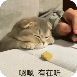 🫥 emoji 海豚有海 Telegram sticker 16 of 120