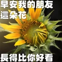 🗯 emoji 早安我的朋友 Telegram sticker 19 of 20