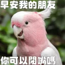 🗯 emoji 早安我的朋友 Telegram sticker 6 of 20