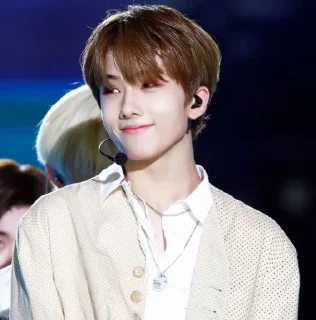 ⏳ emoji Park Jisung ⌇ @WCINTERBEAR Telegram sticker 11 of 20