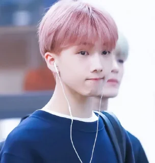 ⏳ emoji Park Jisung ⌇ @WCINTERBEAR Telegram sticker 5 of 20