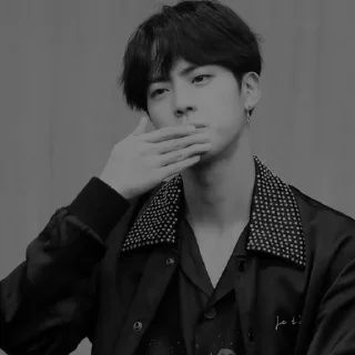 ⬛ emoji Seokjin @nsdnndjxjd Telegram sticker 15 of 25