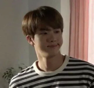 🍟 emoji seokjin @stikeraibkpop Telegram sticker 24 of 32