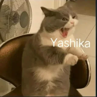 😂 emoji ✨AKsʜAᴛ✨🇮🇳's Favorites (@CalsiBot) Telegram sticker 15 of 59