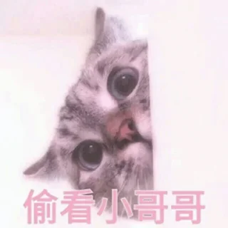 😇 emoji 狗推素材 @sucai159 Telegram sticker 11 of 120