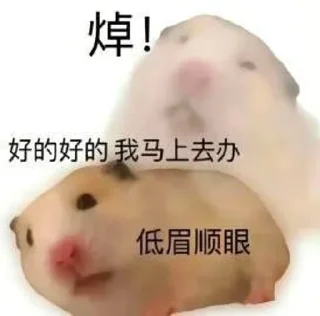 😂 emoji 鼠鼠的表情包合集2 @shushukeainie Telegram sticker 16 of 94