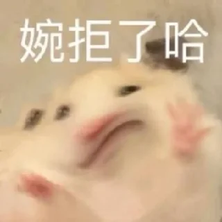 🙅‍♀ emoji 鼠鼠的表情包合集2 @shushukeainie Telegram sticker 21 of 94