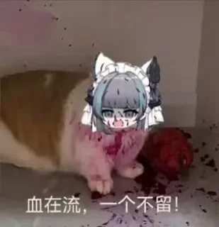 😡 emoji 柴郡猫猫⁴ by鼠鼠 Telegram sticker 19 of 75