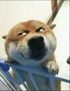 😬 emoji 天外来物 Telegram sticker 10 of 70
