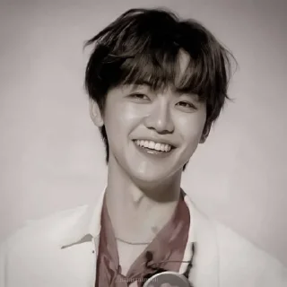 🐴 emoji NCJAEMIN @leviosastory Telegram sticker 1 of 38
