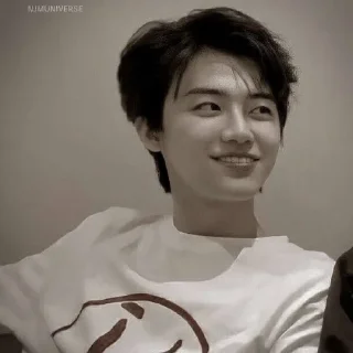 🐴 emoji NCJAEMIN @leviosastory Telegram sticker 22 of 38