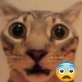 😨 emoji Kontol peler Telegram sticker 13 of 38