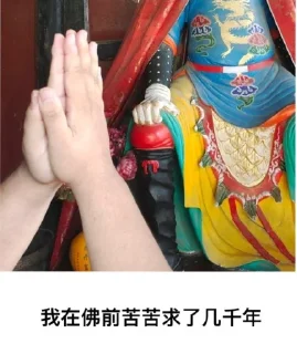 🙏 emoji 键政笑话 @TrendingEveryday Telegram sticker 20 of 35