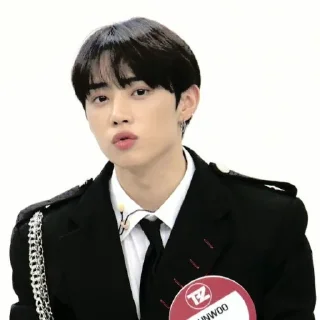 🪶 emoji — kim sunwoo ˖࣪ ·﹆ @gicelyra Telegram sticker 6 of 32